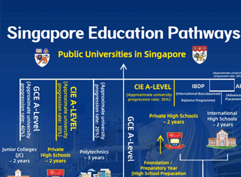 The Most Reliable Route for International Students to NUS & NTU
