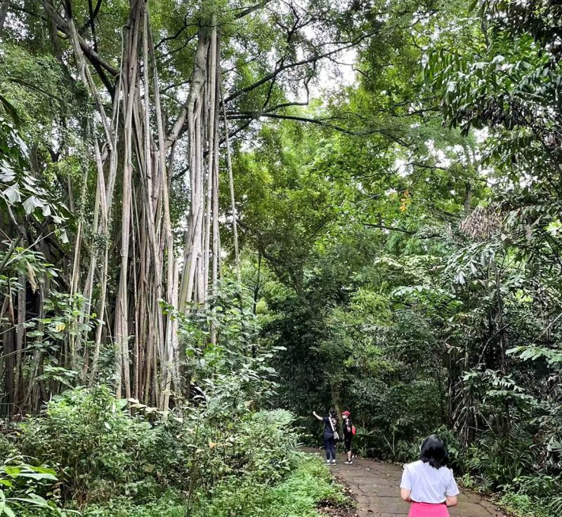 Learning journey – Sungei Buloh Wetland Reserve Learning journey – Sungei Buloh Wetland Reserve